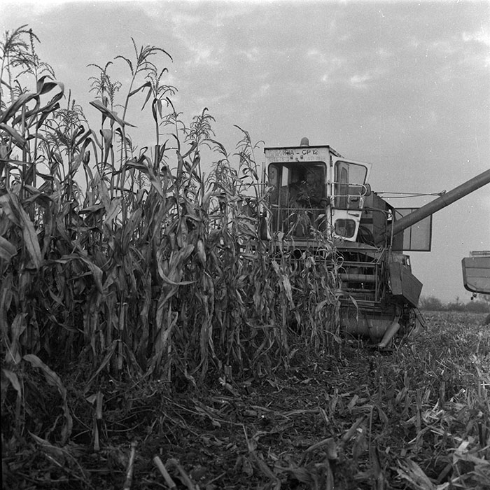 minerva_agricultura_1_c2r3_007