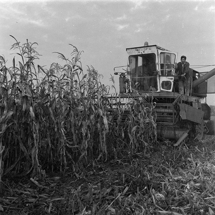 minerva_agricultura_1_c2r3_008