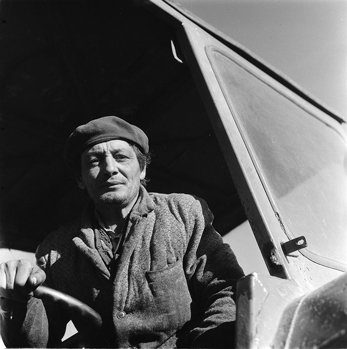 minerva_agricultura_1_c2r4_003