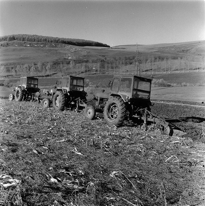 minerva_agricultura_1_c2r4_004