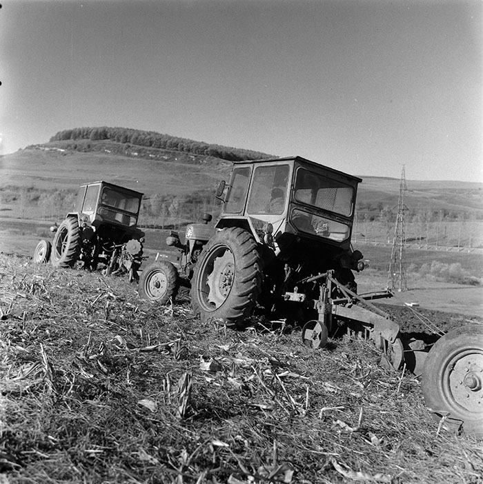 minerva_agricultura_1_c2r4_005