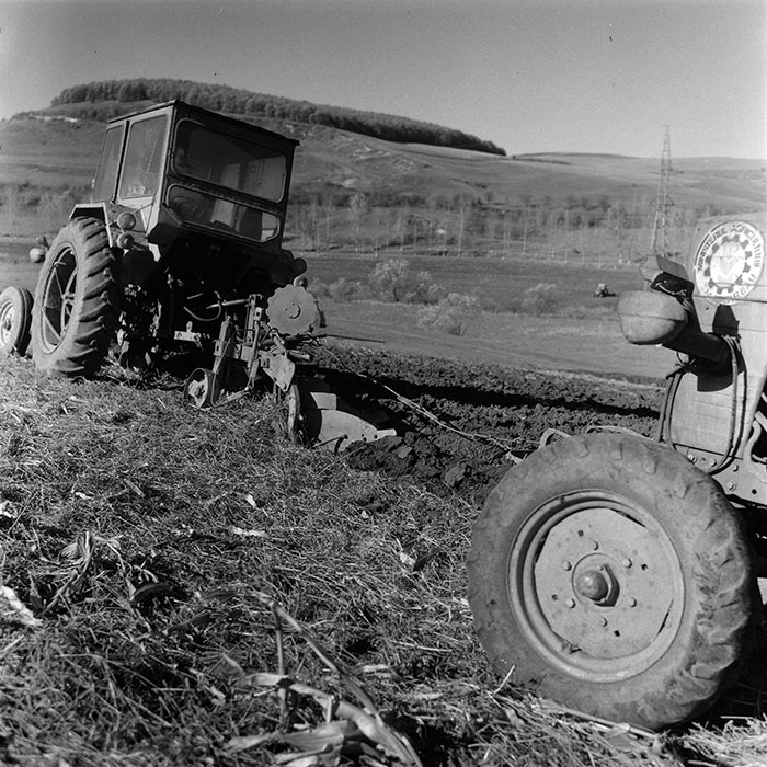 minerva_agricultura_1_c2r4_006