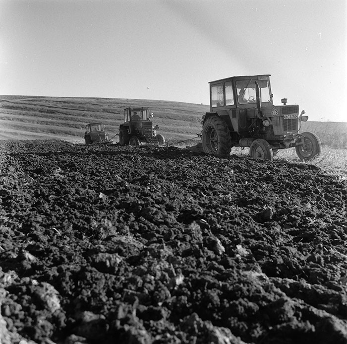 minerva_agricultura_1_c2r4_007