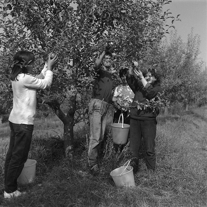 minerva_agricultura_1_c2r5_001