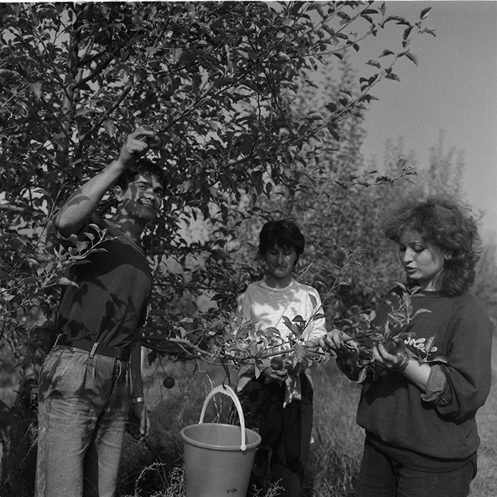 minerva_agricultura_1_c2r5_002