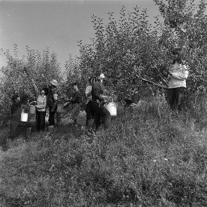 minerva_agricultura_1_c2r5_003