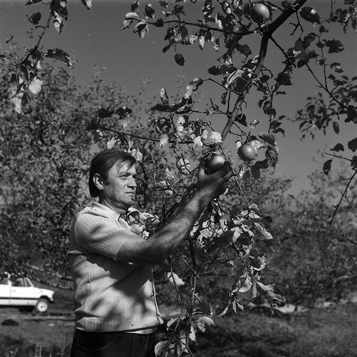 minerva_agricultura_1_c3r1_008