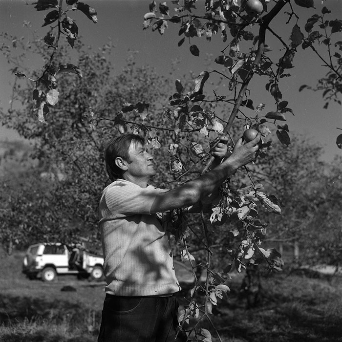 minerva_agricultura_1_c3r1_009