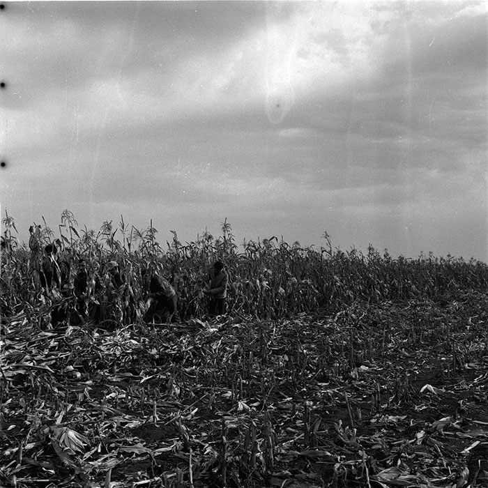 minerva_agricultura_1_c3r1_014