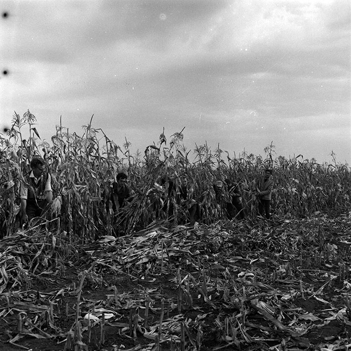 minerva_agricultura_1_c3r1_016