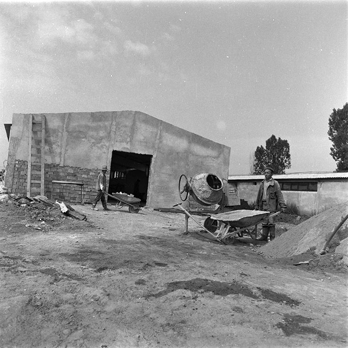 minerva_agricultura_1_c3r1_017