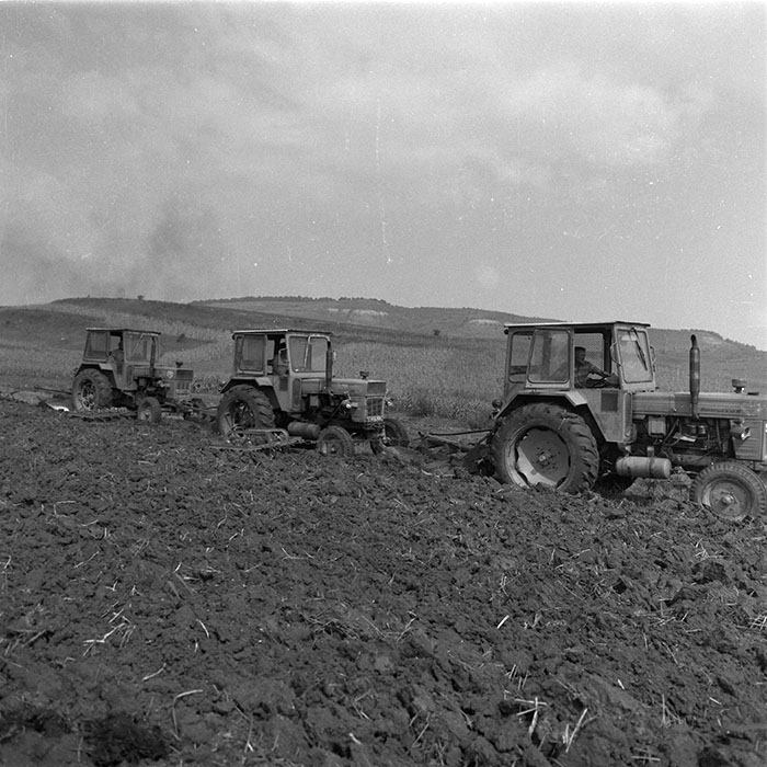 minerva_agricultura_1_c3r1_020