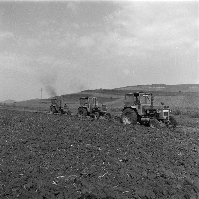 minerva_agricultura_1_c3r1_021