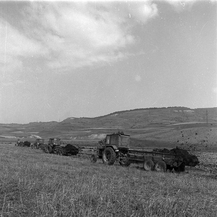 minerva_agricultura_1_c3r1_022