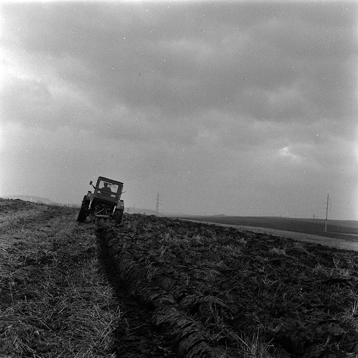 minerva_agricultura_1_c3r2_007