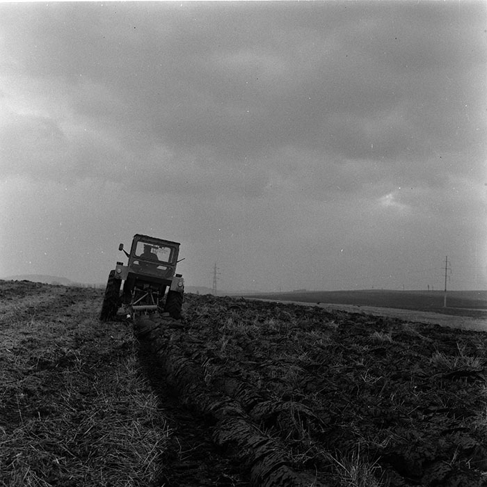 minerva_agricultura_1_c3r2_008