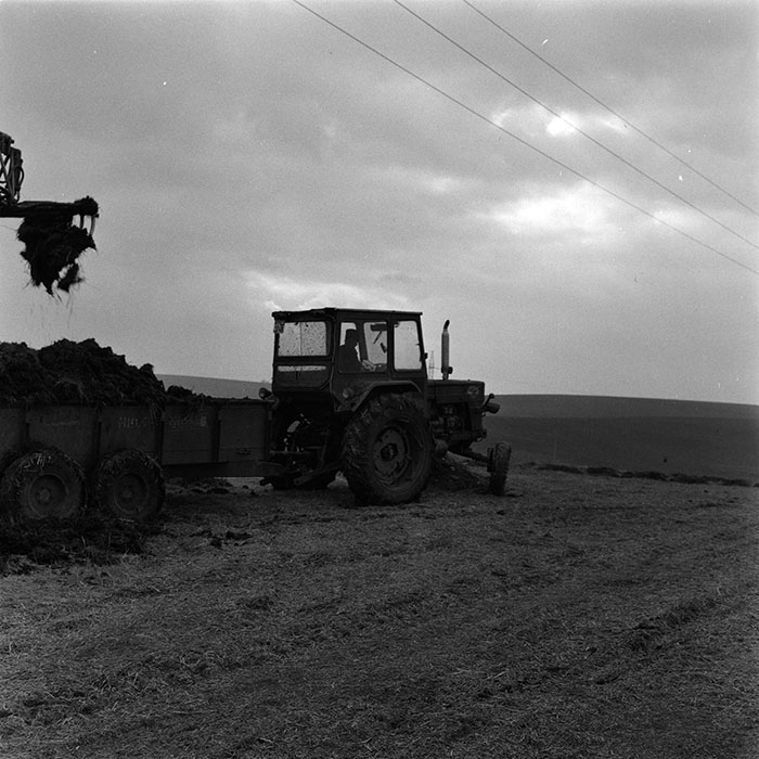 minerva_agricultura_1_c3r2_010