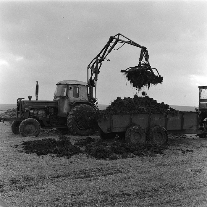 minerva_agricultura_1_c3r2_011