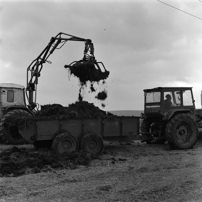 minerva_agricultura_1_c3r2_012