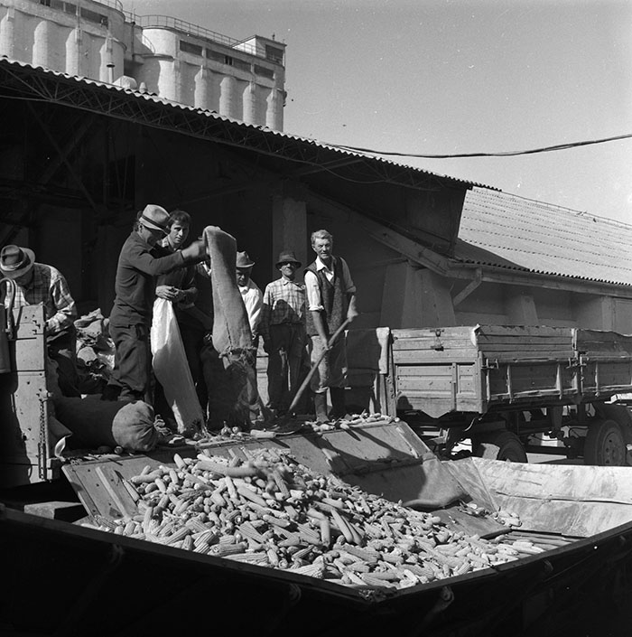 minerva_agricultura_1_c3r3_001