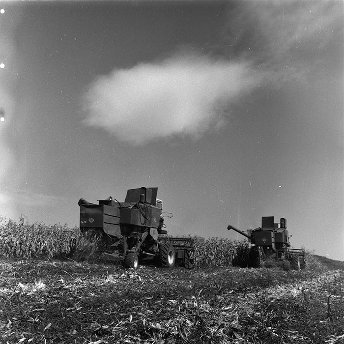 minerva_agricultura_1_c3r3_003