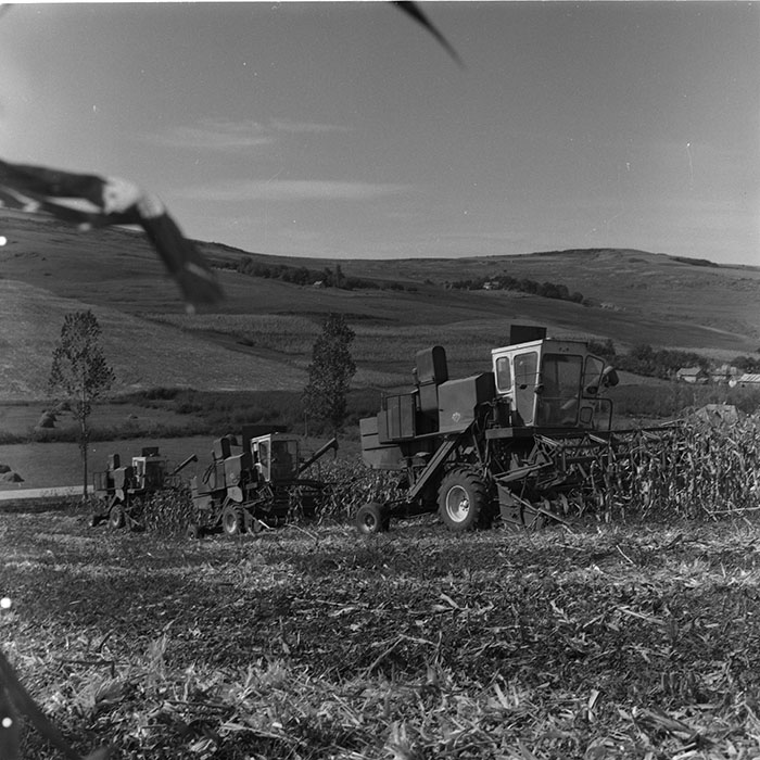 minerva_agricultura_1_c3r3_004