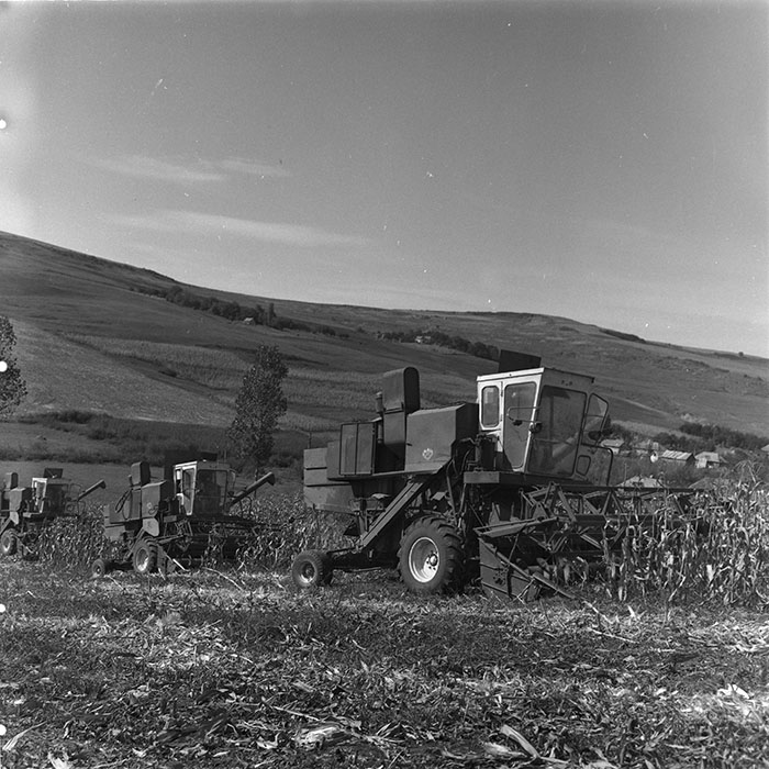 minerva_agricultura_1_c3r3_006