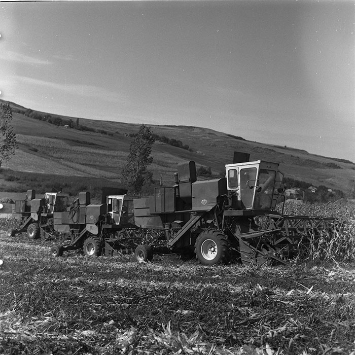 minerva_agricultura_1_c3r3_007