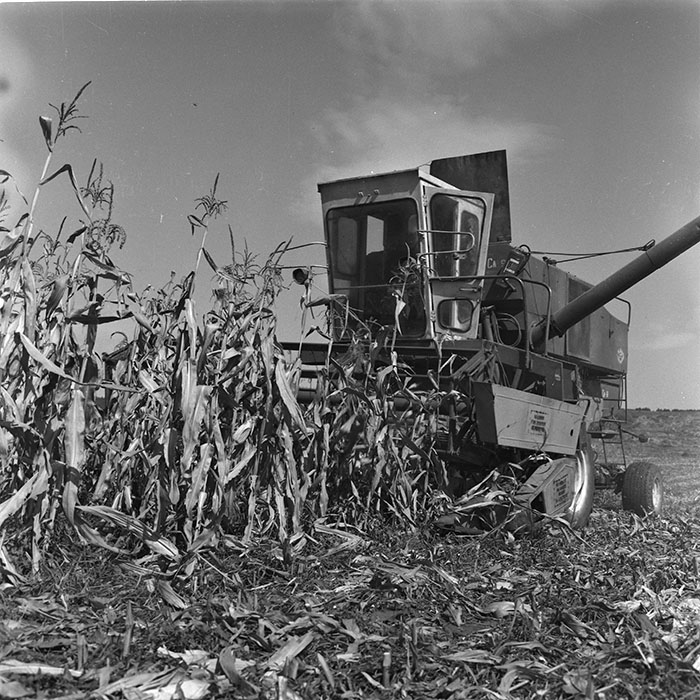 minerva_agricultura_1_c3r3_008