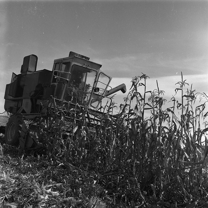 minerva_agricultura_1_c3r3_009