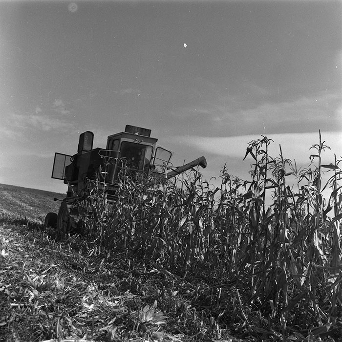 minerva_agricultura_1_c3r3_010