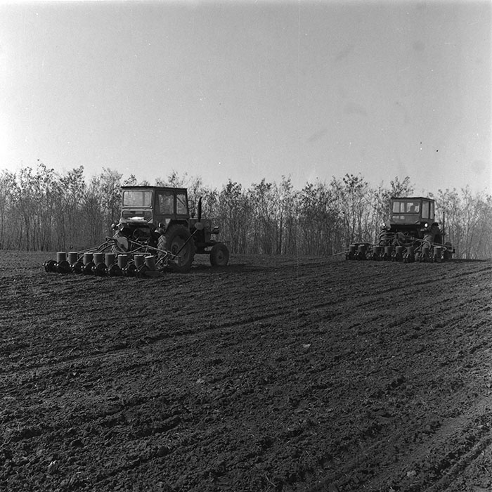 minerva_agricultura_1_c4r1_002