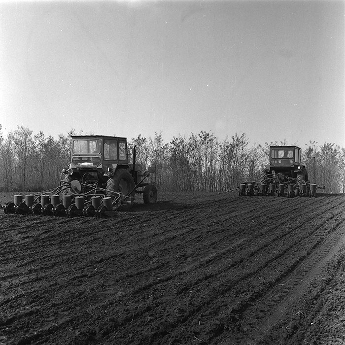 minerva_agricultura_1_c4r1_003