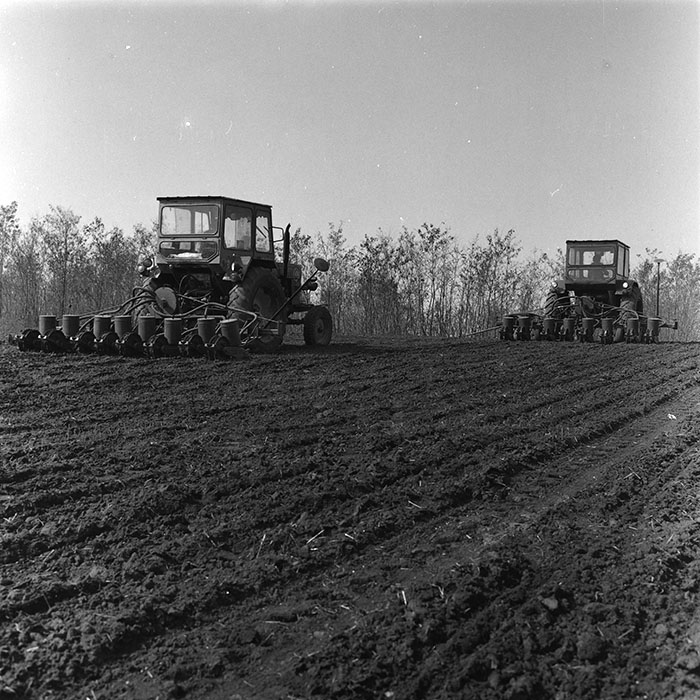 minerva_agricultura_1_c4r1_004