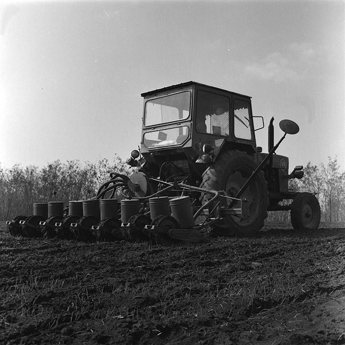 minerva_agricultura_1_c4r1_005