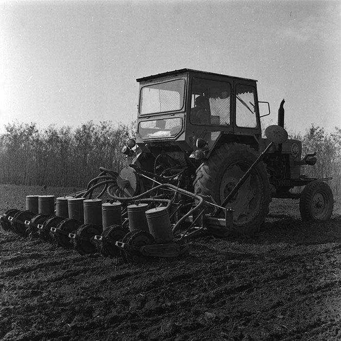 minerva_agricultura_1_c4r1_006