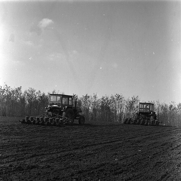 minerva_agricultura_1_c4r1_008