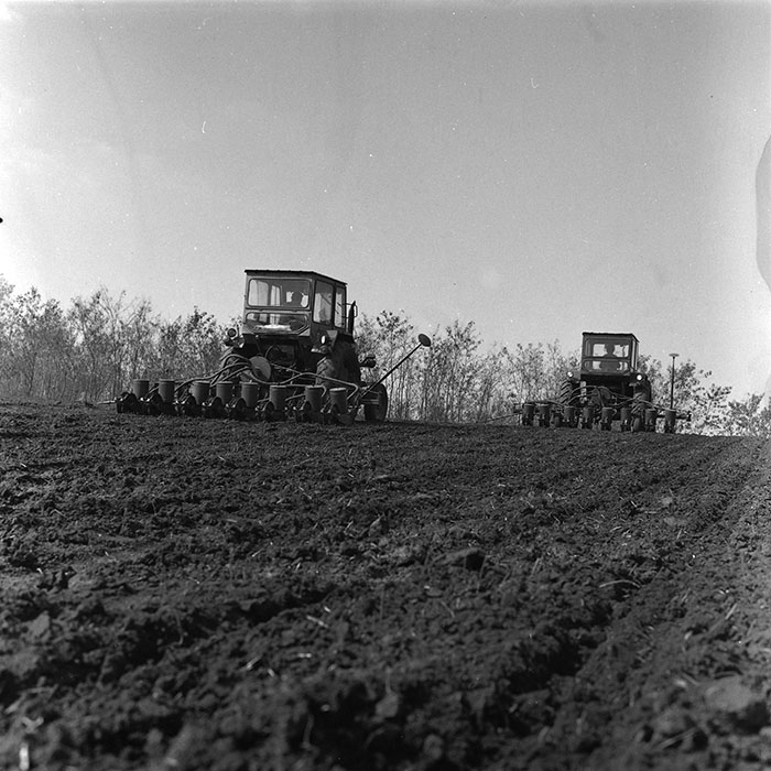 minerva_agricultura_1_c4r1_009