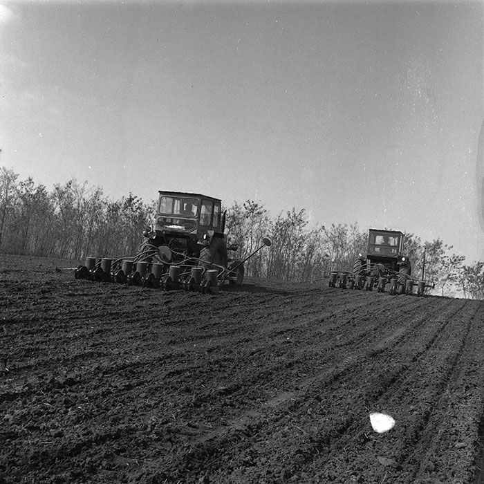 minerva_agricultura_1_c4r1_010