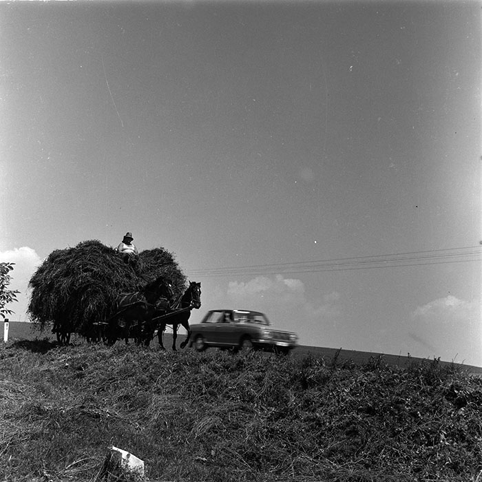 minerva_agricultura_1_c4r3_005