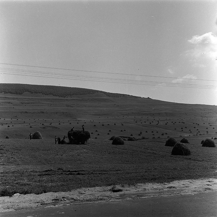 minerva_agricultura_1_c4r3_010