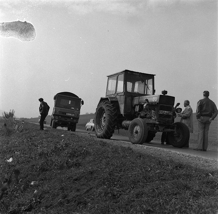 minerva_agricultura_1_c4r4_001