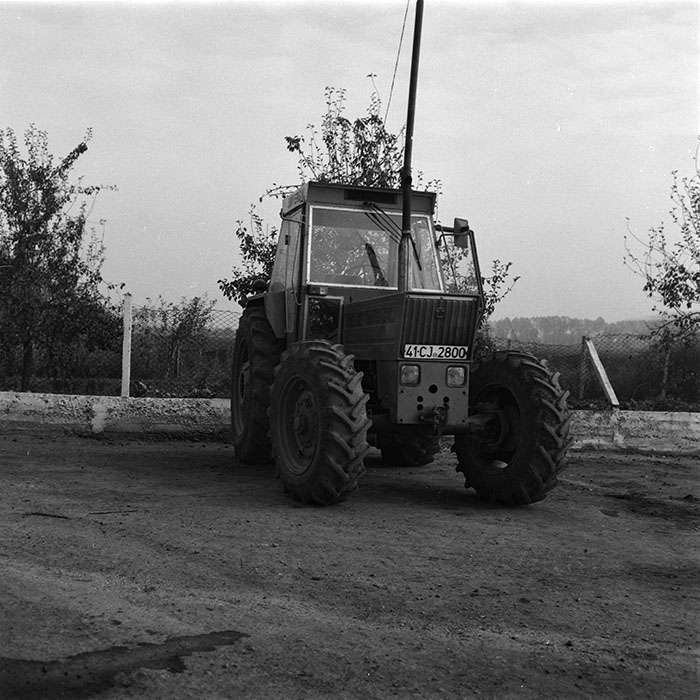 minerva_agricultura_1_c4r4_006