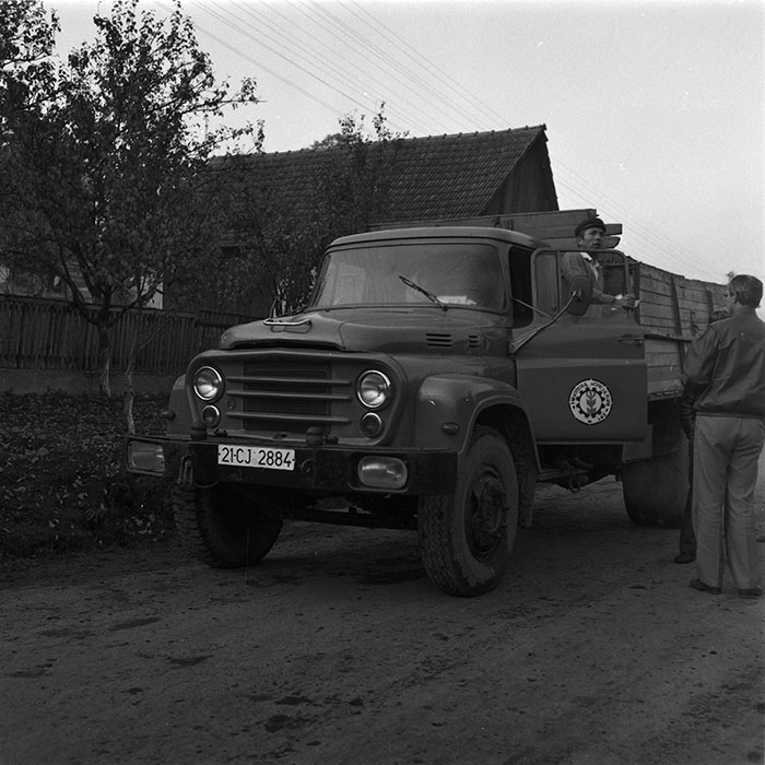 minerva_agricultura_1_c4r4_007