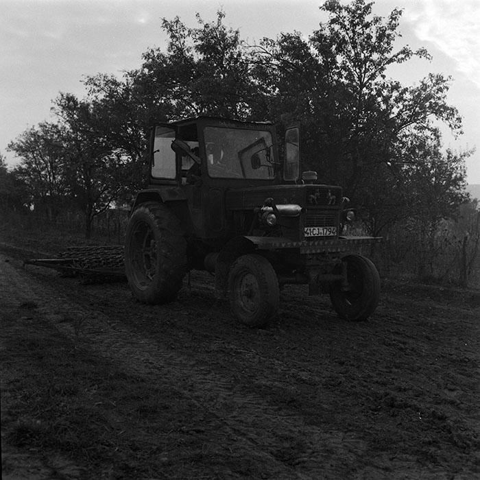 minerva_agricultura_1_c4r4_011