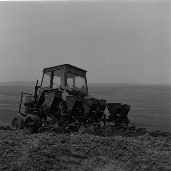 minerva_agricultura_1_c4r5_002