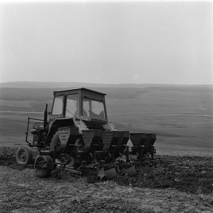 minerva_agricultura_1_c4r5_003