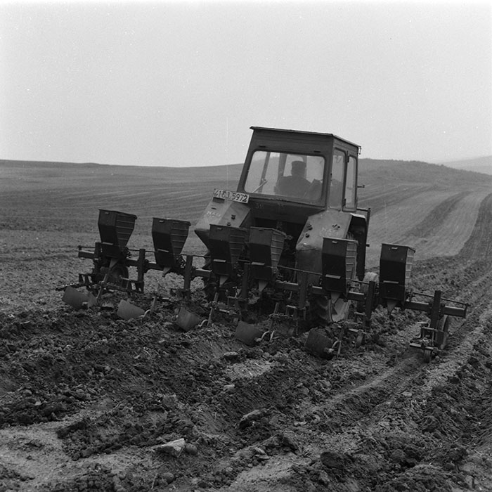 minerva_agricultura_1_c4r5_004