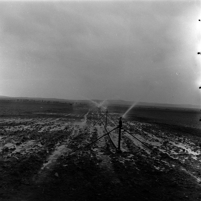 minerva_agricultura_1_c5r1_011