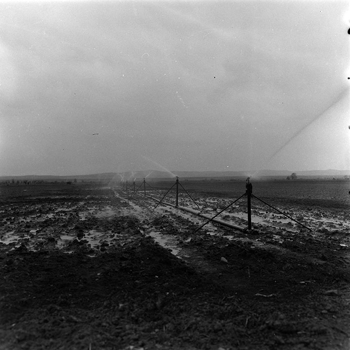 minerva_agricultura_1_c5r1_012